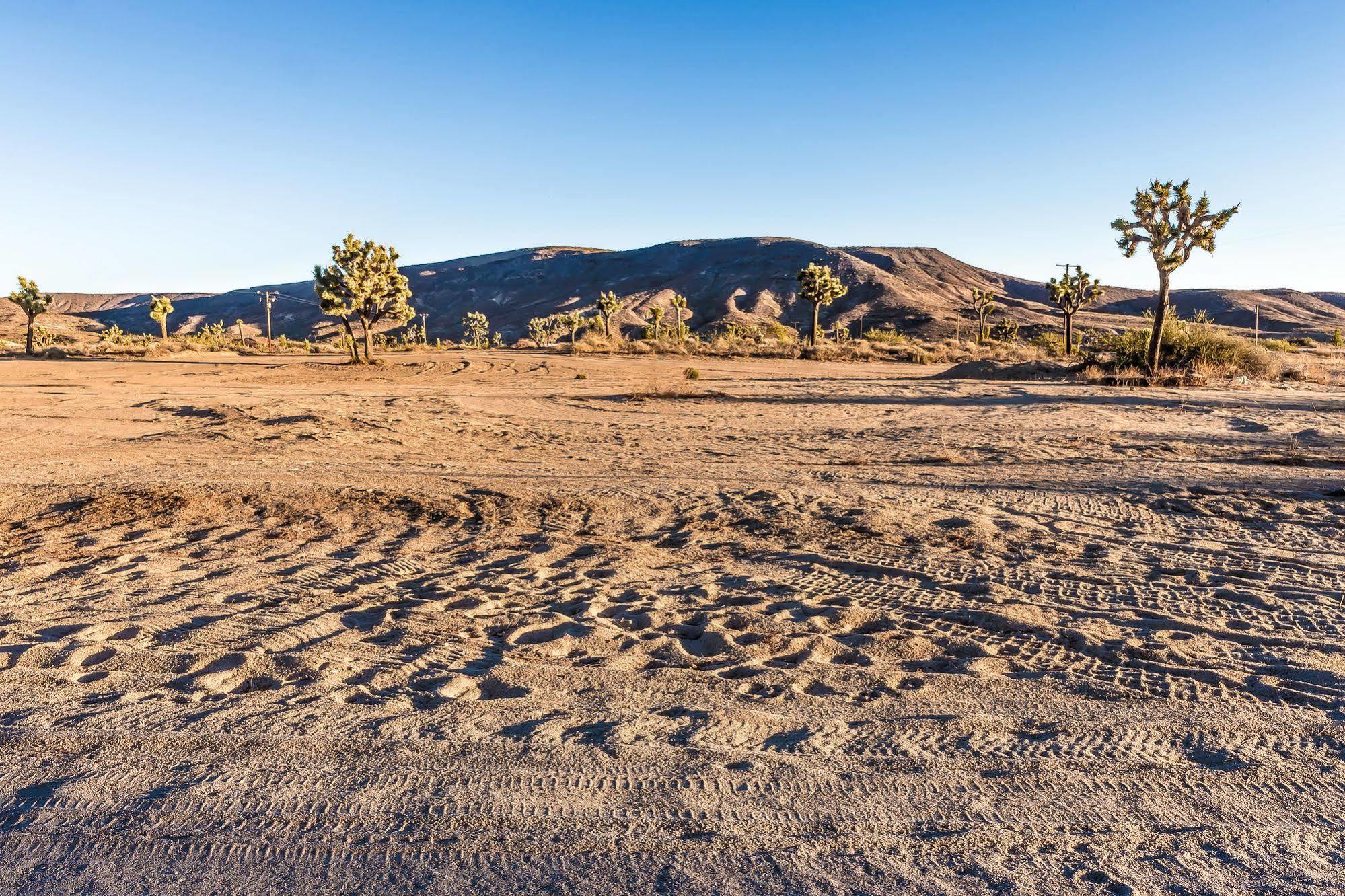 Pioneertown Motel エクステリア 写真